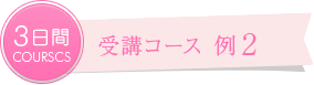 コース案内：受講コース例2